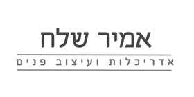 אמיר שלח