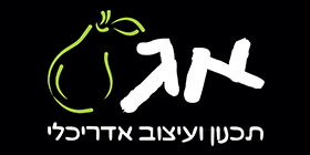 אמיר גרגיר