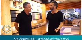 מעצבים שיפוץ עונה שניה פרק 6 – אביב אברמוב עץ ועצה