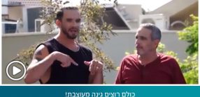 כולם רוצים גינה מעוצבת!