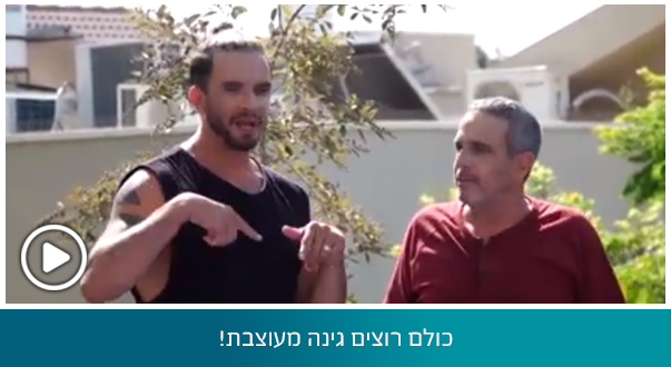 כולם רוצים גינה מעוצבת!